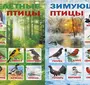 Птицы Томской Области