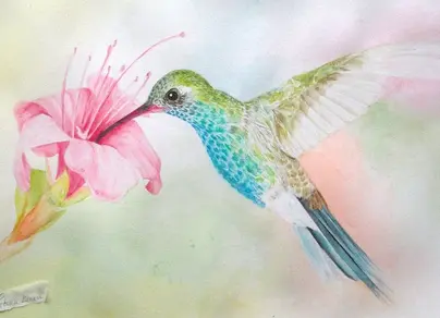Райские птицы картинки нарисованные
