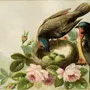 Картинки для декупажа птицы