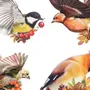 Весенние Птицы Картинки Для Детей Для Оформления