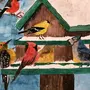 Птицы в кормушке зимой рисунок