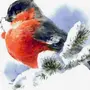 Зимние птицы рисунок