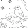 Зимние Птицы Рисунок