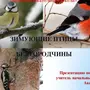 Птицы Белгородской Области С Названиями Зимующие