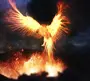 Феникса Птицы Возрождающегося Из Пепла
