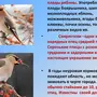Птицы красноярского края с названиями зимующие