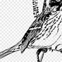 Рисунок птица воробей
