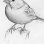 Рисунок Птица Воробей