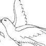 Рисунок птица голубь