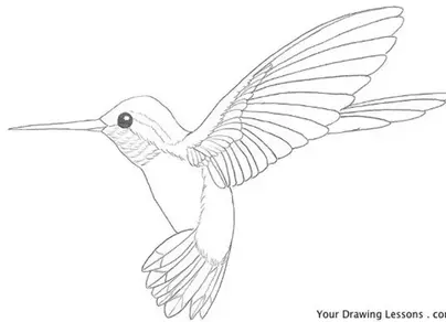 Рисунок птица колибри