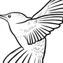 Рисунок Птица Колибри