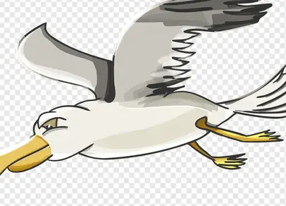 Рисунок птица чайка
