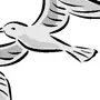 Рисунок птица чайка