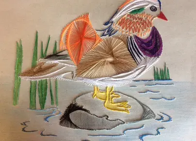 Мандаринка птица рисунок