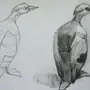 Конструктивный Рисунок Птицы