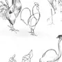 Конструктивный рисунок птицы
