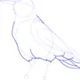 Конструктивный рисунок птицы