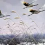 Картинки птицы весной