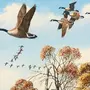 Картинки Птицы Весной