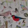 Рисунок встречаем птиц