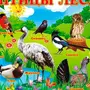Картинки Птицы Для Детей Распечатать Цветные
