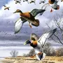 Прилет птиц рисунок