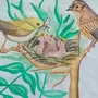 Нарисовать рисунок птицы в гнезде