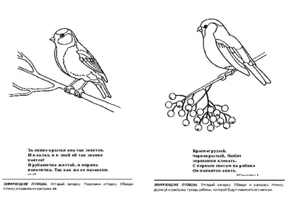 Хищные птицы астраханской области с названиями