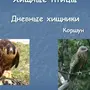 Хищные птицы ростовской области с названиями