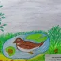 Рисунок К Рассказу Сумасшедшая Птица