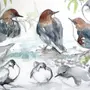 Рисунок к рассказу сумасшедшая птица