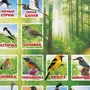 Птицы новгородской области зимой с названиями