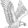 Рисунок птица беркут