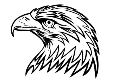 Рисунок птица беркут