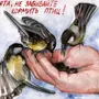 Берегите птиц рисунок