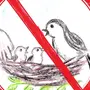 Берегите птиц рисунок