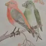 Рисунок птица клёст