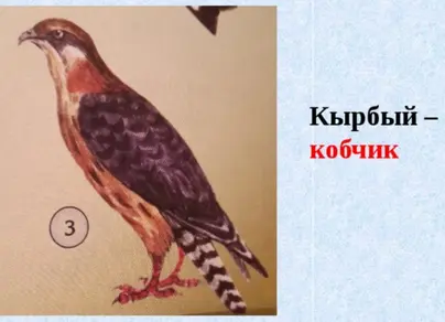 Рисунок птица кобчик