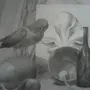 Натюрморт С Птицей Рисунок