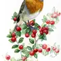 Рисунок птица малиновка