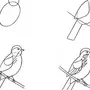 Птица Рисунок 3 Класс