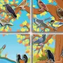 Зимующие птицы ворона картинки для детей