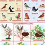 Зимующие Птицы Ворона Картинки Для Детей