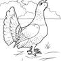 Картинка Глухаря Птицы Для Детей