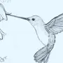 Картинки птиц для срисовки легкие