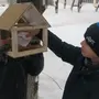 Кормление Птиц Зимой Картинки