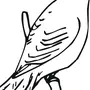 Рисунок птица чиж
