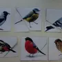 Разрезные Картинки Зимующие Птицы