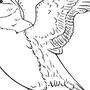 Рисунок птица тупик