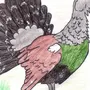 Рисунок птица тетерев